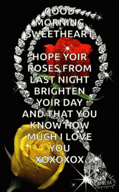 Good Morning Sweetheart Hope Your Roses From Last Night Brighten Your Day And That You Know How Much I Love You Xoxoxox GIF