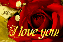 Good Morning Sweetheart Red Rosee GIF