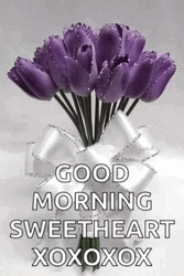 Good Morning Sweetheart Tulips GIF