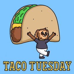 Good Morning Taco Tuesday Giant Hat GIF