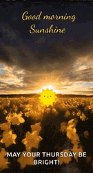 Good Morning Thursday Funny Sunrise GIF