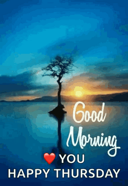 Good Morning Thursday Funny Tree GIF