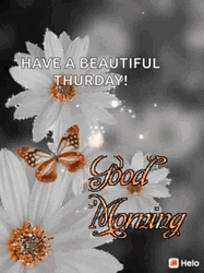 Good Morning Thursday Funny White Flower GIF