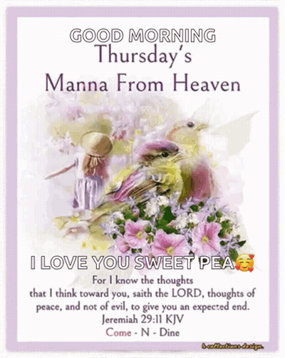 Good Morning Thursday's Manna From Heaven Girl Bird GIF