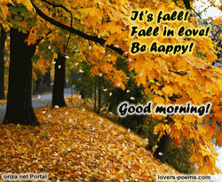 Good Morning Time To Fall In Love GIF