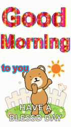 Good Morning To You Have A Blessed Day GIF