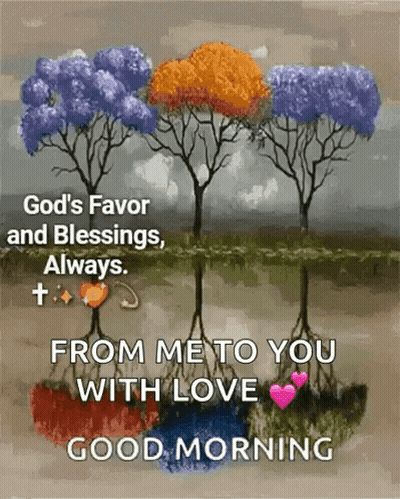 Good Morning Trees From Me To You With Love GIF