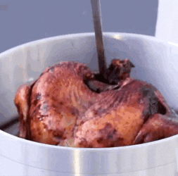 Good Morning Turkey Deep Fried GIF
