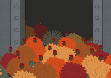 Good Morning Turkey Marching Together GIF