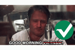 Good Morning Vietnam Check Meme GIF