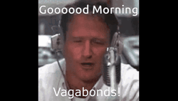 Good Morning Vietnam Vagabonds Robin Williams GIF