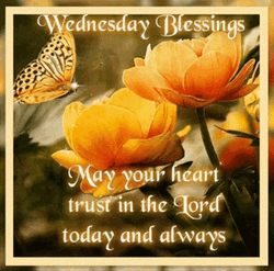 Good Morning Wednesday Blessings Trust In The Lord GIF | GIFDB.com