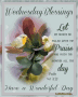 Good Morning Wednesday Filled With Praise Wonderful Day GIF