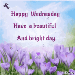 have a nice wednesday