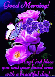 Good Morning Wednesday Loved Ones Beautiful Day GIF