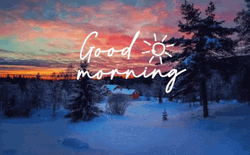 Good Morning Winter Nature Sunrise