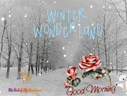 Good Morning Winter Wonderland Graphic Design