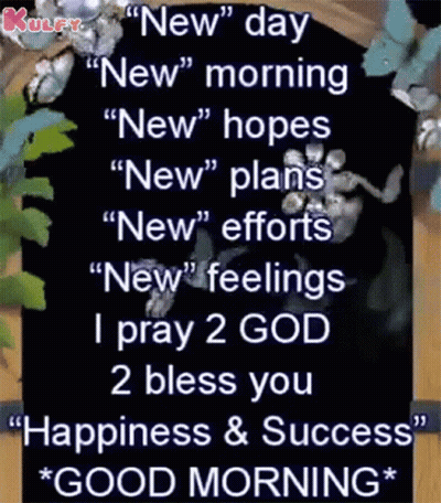 Good Morning Wishes Gif GIF