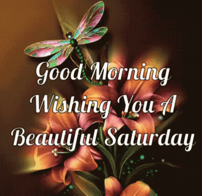 Good Morning Wishing You A Beautiful Saturday With Dragonfly And Flowers GIF