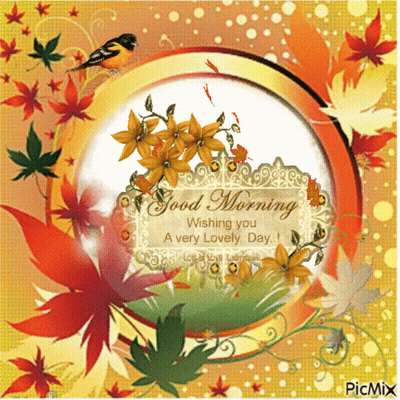 Good Morning Wishing You A Lovely Day Greeting Card GIF
