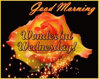 Good Morning Wonderful Wednesday Card With Rose GIF