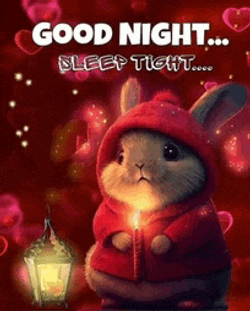 Good Night 2024 Meme GIF