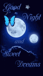 Good Night And Sweet Dreams Butterfly And Moons
