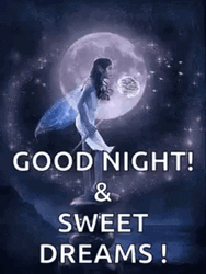Good Night And Sweet Dreams Fairy And Moon GIF