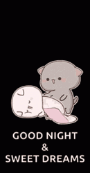 Good Night And Sweet Dreams Peach And Goma GIF