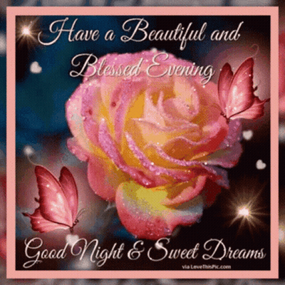 Good Night And Sweet Dreams Pink Rose Butterflies GIF