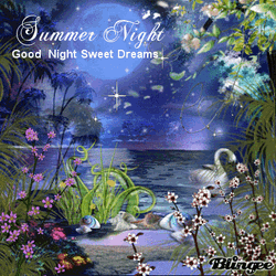 Good Night And Sweet Dreams Sparkling Summer Night GIF