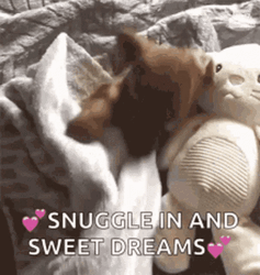 Good Night And Sweet Dreams Sweet Snuggling Dog GIF