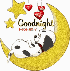 Good Night Animated Adorable Dog GIF