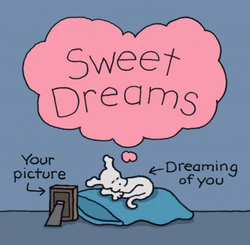Good Night Animated Asleep Time GIF
