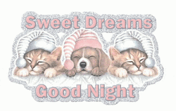 Good Night Animated Sweet Dreams GIF