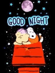 Good Night Animated Sweet Friendship GIF