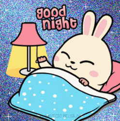 Good Night Animated Vec50 Bear GIF