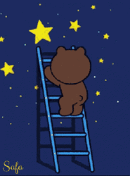 Good Night Bear Animated Stars GIF