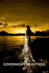 Good Night Beautiful Lady Watching The Sunset GIF