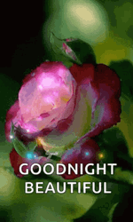 Good Night Beautiful Hearts And Night Sky GIF | GIFDB.com