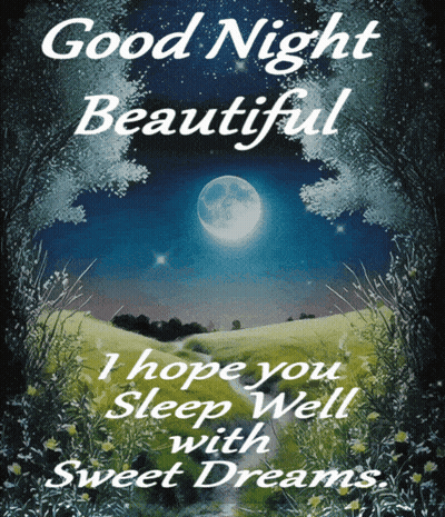 Good Night Beautiful Sleep Well Poster GIF