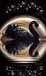 Good Night Black Swan GIF