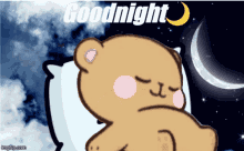 Good Night Cute Animated Bear Sleeping GIF
