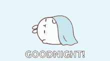 Good Night Cute Bunny Blanket Cover Sleep