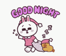 Good Night Cute Bunny Dragging Pillow Duck