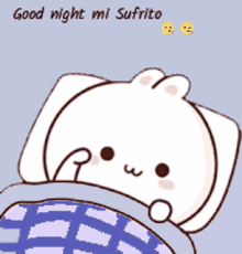 Good Night Cute Bunny Wave Sleep Bed Love