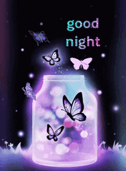 Good Night Cute Butterflies GIF