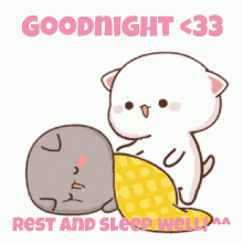 Good Night Cute Cats Peach Goma Rest Sleep GIF