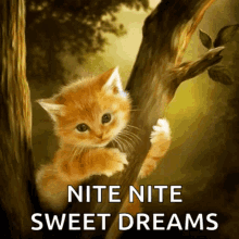 Good Night Cute Kitten Hugging Tree Sweet Dreams