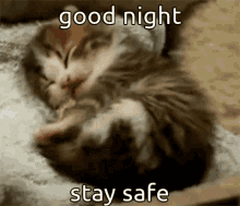Good Night Cute Yawning Cat Kitten